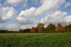 Herbststimmung-25-10-09 001.jpg